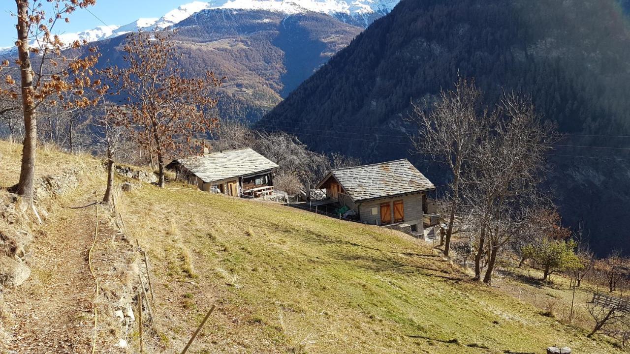Villa Chalet La Paz With Hotpot And Sauna Törbel Exterior foto