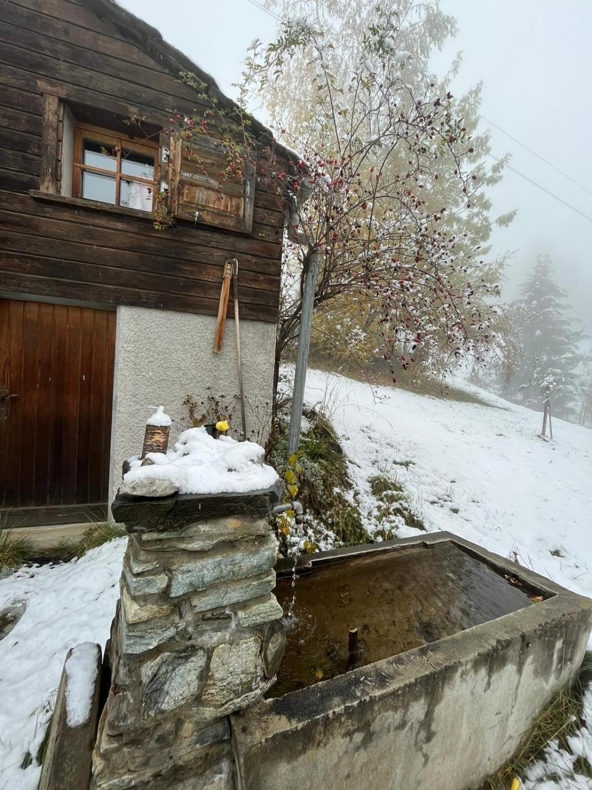 Villa Chalet La Paz With Hotpot And Sauna Törbel Exterior foto
